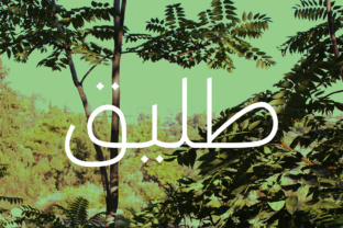 Download Taleeq - Arabic Typeface - Arab Collection
