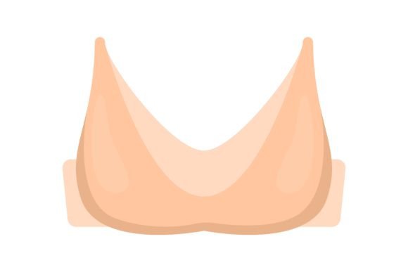 Download Women Bra. Sports Top, Strapless and Pus - Women Collection